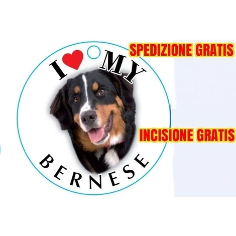 Medaglietta Per Cane Bernese Spedizione Incisione Gratis 3 Medaglietta Per Cane Bernese Spedizione Incisione Gratis