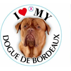 Medaglietta Per Cane Dogue De Bordeaux
