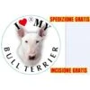 Medaglietta Per Cane Bull Terrier Bianco Spedizione E Incisione Gratis