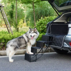 Nova Scaletta A 4 Gradini Per Cani Pieghevole Idrorepellente Supporto Fino A 55 Kg 9 Nova Scaletta A 4 Gradini Per Cani Pieghevole Idrorepellente Supporto Fino A 55 Kg -Cibi per cani in Italia 94577979 3