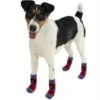 Trade Shop - Calzini Per Cane Cani Con Gommini Antiscivoli Fantasie -Cibi per cani in Italia 95093325 1