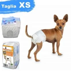 Trade Shop - 10 Pannolini Assorbenti Per Cani Xs Taglia Piccola Pannolino Traversina Cane