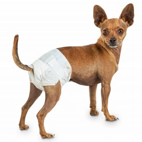 Trade Shop - 10 Pannolini Assorbenti Per Cani Xs Taglia Piccola Pannolino Traversina Cane 4 Trade Shop - 10 Pannolini Assorbenti Per Cani Xs Taglia Piccola Pannolino Traversina Cane - immagine 2