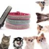 Trade Shop - Collare Con Strass Per Cani Cane Gatti Animali Pet Brillantini Colori Assortiti -Cibi per cani in Italia 95095041 1