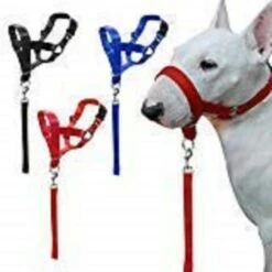 Trade Shop - Museruola Da Addestramento Cane Nylon Collare Cintura Regolabile Taglia S M L Resistente S