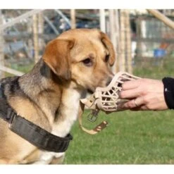 Trade Shop - Museruola A Cestello In Plastica Per Cani Di Piccola Media Grande Taglia Sicura S -Cibi per cani in Italia 95107378 4