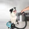 Sèche-poils Toilettage Pour Chiens Séchoir Professionnel Pour Chiens Sèche-cheveux Pour Chiens Chats Animaux - Bleu
