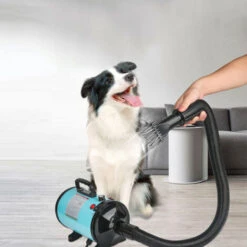 Sèche-poils Toilettage Pour Chiens Séchoir Professionnel Pour Chiens Sèche-cheveux Pour Chiens Chats Animaux - Bleu
