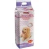 Record BestBone AssorbiPiù Tappetini Con Polimeri Superassorbenti 60x60 Cm Da 40pz -Cibi per cani in Italia 9533379 1