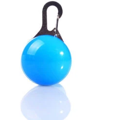 Ciondolo Per Animali Domestici, Ciondolo Luminoso A LED, Portafortuna Con Cane Luminoso, Portafortuna Lampeggiante Per Cane E Gatto (blu)