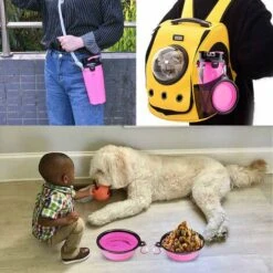 Borraccia Per Cani Con 2 Ciotole Pieghevoli Borraccia Portatile 2 In 1 E Cibo Per Cani Animali Domestici Per Gatti, Borraccia Da Viaggio Per Passeggiate, Esercizio Fisico, Escursionismo, Campeggio (ro -Cibi per cani in Italia 95469417 5