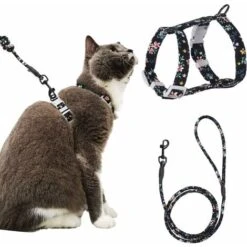 Imbracatura Regolabile Per Gatti (145 Cm Nera S) Per Gatti, Cani Di Piccola Taglia, In Nylon Con Guinzaglio Resistente Alla Sicurezza, Per Cuccioli, Gattini, Piccoli Animali Domestici