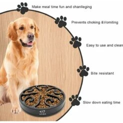 Ciotola Per Cani A Alimentazione Lenta Ciotola Per Cani A Alimentazione Lenta Ciotola Per Cani A Alimentazione Lenta Ciotola Per Alimentazione A Puzzle Antiscivolo (piccola/media, Nera) 10 Ciotola Per Cani A Alimentazione Lenta Ciotola Per Cani A Alimentazione Lenta Ciotola Per Cani A Alimentazione Lenta Ciotola Per Alimentazione A Puzzle Antiscivolo (piccola/media, Nera) -Cibi per cani in Italia 95527145 4