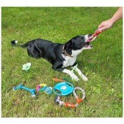 Set Di 10 Pezzi Di Corda Per Tirare Il Giocattolo Del Cane, Palla, Nodo, Carota, Frisbee, Corda Per Tong, Giocattolo Da Masticare Per Cani Lavabile Con Fibbia In TPR -Cibi per cani in Italia 95564266 3