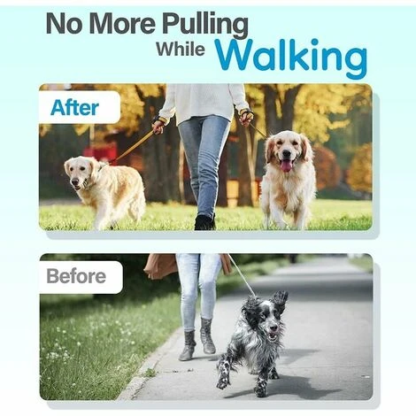 Collare Da Addestramento Per Cani, Collare A Strozzo Per Cani Con Fibbia A Scatto, Collare Per Cani Senza Trazione Per Cani Di Taglia Media E Grande 4 Collare Da Addestramento Per Cani, Collare A Strozzo Per Cani Con Fibbia A Scatto, Collare Per Cani Senza Trazione Per Cani Di Taglia Media E Grande - immagine 2