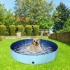 Piscina Per Cani, Vasca Da Bagno Pieghevole Per Animali Domestici, Grande Piscina In PVC, Piscina Per Bambini Per Animali Domestici, Piscina Per Cani 80x20 Cm 2 Piscina Per Cani, Vasca Da Bagno Pieghevole Per Animali Domestici, Grande Piscina In PVC, Piscina Per Bambini Per Animali Domestici, Piscina Per Cani 80x20 Cm -Cibi per cani in Italia 95786389 1