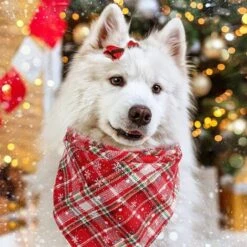 Confezione Da 2 Sciarpe Con Bavaglino In Flanella A Quadri Di Bufalo Bandana Natalizia Per Cani E Gatti Per Cani (Form3) -Cibi per cani in Italia 95860615 4