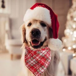Confezione Da 2 Sciarpe Con Bavaglino In Flanella A Quadri Di Bufalo Bandana Natalizia Per Cani E Gatti Per Cani (Form3) -Cibi per cani in Italia 95860615 5