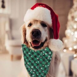 Confezione Da 2 Sciarpe Con Bavaglino In Flanella A Quadri Di Bufalo Bandana Natalizia Per Cani E Gatti Per Cani (Form4) 11 Confezione Da 2 Sciarpe Con Bavaglino In Flanella A Quadri Di Bufalo Bandana Natalizia Per Cani E Gatti Per Cani (Form4) -Cibi per cani in Italia 95860616 5