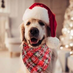 Confezione Da 2 Sciarpe Con Bavaglino In Flanella A Quadri Di Bufalo Bandana Natalizia Per Cani Per Cani (Form2) -Cibi per cani in Italia 95860728 5