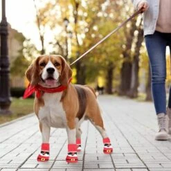 Calzini Natalizi Per Cani Al Coperto Confezione Da 4 Protezioni Per Zampe Di Animali Domestici (M) -Cibi per cani in Italia 95860738 5