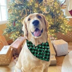 Bandana Natalizia Per Cani, Bandana Per Animali Domestici, Ghetta Con Pettorina A Triangolo Per Cani Di Taglia Piccola, Media, Gatti (stile 4, S) -Cibi per cani in Italia 95860750 5