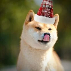 Cappello Natalizio Per Animali Domestici Fiocco Di Neve Scozzese Cappello Per Cani E Gatti (rosso) -Cibi per cani in Italia 95860940 3