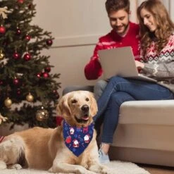 Bandane Natalizie Per Animali Domestici, 2 Sciarpe Di Stoffa Di Saliva, Set Di Foulard Per Animali Domestici Bavaglino A Triangolo Per Animali Domestici, Bandane Per Cani Belle E Morbide (stile 5) 10 Bandane Natalizie Per Animali Domestici, 2 Sciarpe Di Stoffa Di Saliva, Set Di Foulard Per Animali Domestici Bavaglino A Triangolo Per Animali Domestici, Bandane Per Cani Belle E Morbide (stile 5) -Cibi per cani in Italia 95860969 4