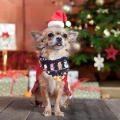 Bandana Per Cani Sciarpa Per Animali Domestici Triangolo Bandana Per Animali Domestici (Stile 2, S) -Cibi per cani in Italia 95861012 5