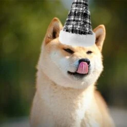 Cappello Natalizio Per Animali Domestici Fiocco Di Neve Scozzese Cappello Per Cani E Gatti (bianco) -Cibi per cani in Italia 95861086 3