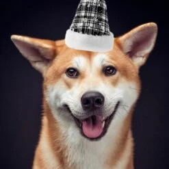 Cappello Natalizio Per Animali Domestici Fiocco Di Neve Scozzese Cappello Per Cani E Gatti (bianco) -Cibi per cani in Italia 95861086 4