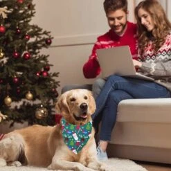 Bandane Natalizie Per Animali Domestici, 2 Sciarpe Di Stoffa Di Saliva, Set Di Foulard Per Animali Domestici Bavaglino A Triangolo Per Animali Domestici, Bandane Per Cani Belle E Morbide (stile 4) -Cibi per cani in Italia 95861125 4