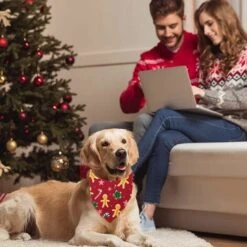 Bandane Natalizie Per Animali Domestici, 2 Sciarpe Di Stoffa Di Saliva, Set Di Foulard Per Animali Domestici, Bavaglini A Triangolo Per Animali Domestici, Bandane Per Cani Belle E Morbide (stile 1) -Cibi per cani in Italia 95861223 4