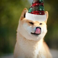 Cappello Natalizio Per Animali Domestici Fiocco Di Neve Scozzese Cappello Per Cani E Gatti (verde) -Cibi per cani in Italia 95861305 3