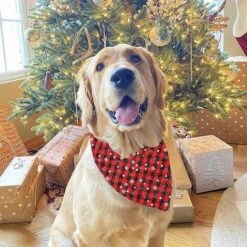 Bandana Natalizia Per Cani, Bandana Per Animali Domestici, Ghetta Con Pettorina A Triangolo Per Cani Di Taglia Piccola, Media, Gatti (stile 1, L) -Cibi per cani in Italia 95861313 5