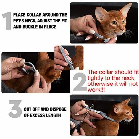 2 Pezzi Collare Per Zecche Per Cane/gatto, 58 Cm Collare Per Pulci E Zecche Collari Per La Prevenzione Di Pulci E Zecche, Collare Antipulci Per Cani Impermeabile In Morbido Silicone, 100% Ingredienti 4 2 Pezzi Collare Per Zecche Per Cane/gatto, 58 Cm Collare Per Pulci E Zecche Collari Per La Prevenzione Di Pulci E Zecche, Collare Antipulci Per Cani Impermeabile In Morbido Silicone, 100% Ingredienti - immagine 2