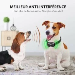 Collare Antiabbaio, Collare Elettrico Per Cani, Collare Da Addestramento Ricaricabile, Adatto Per 5-65 Kg -Cibi per cani in Italia 95962637 3