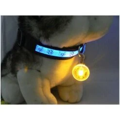 Ciondolo Per Animali Domestici, Ciondolo Luminoso A LED, Portafortuna Luminoso Per Cane, Gatto E Cane (rosso) 10 Ciondolo Per Animali Domestici, Ciondolo Luminoso A LED, Portafortuna Luminoso Per Cane, Gatto E Cane (rosso) -Cibi per cani in Italia 96150381 4