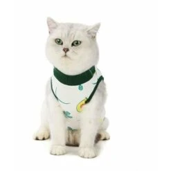 Body Postoperatorio Per Gatti Gilet Di Recupero Per Gatti Cuccioli Di Cane Ferite Addominali Postoperatorie Indossare Malattie Della Pelle Collo Elettronico Abbigliamento Alternativo (Avocado, M) -Cibi per cani in Italia 96203468 5