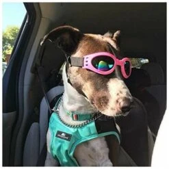 Occhiali Per Cani Protezione Per Gli Occhi Occhiali Da Sole Per Animali Domestici Impermeabili Per Cani (rosa) -Cibi per cani in Italia 96216867 4