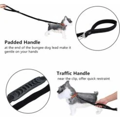 LITZEE Robusto Guinzaglio Per Cani Con Impugnatura Imbottita Corda Anti-strappo Elastico Da Addestramento Per Cani Di Taglia Media E Grande In Trazione Pesante (110 Cm-150 Cm, Nero) 10 LITZEE Robusto Guinzaglio Per Cani Con Impugnatura Imbottita Corda Anti-strappo Elastico Da Addestramento Per Cani Di Taglia Media E Grande In Trazione Pesante (110 Cm-150 Cm, Nero) -Cibi per cani in Italia 96299074 4