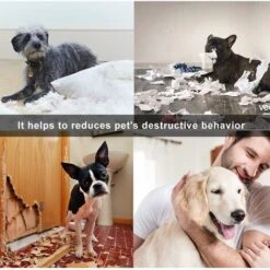 LITZEE Dog Occupation And Education Toy Palla Giocattolo Per Cani - Palla Per Cibo Per Cani, Palla Per Bicchiere Per Cani, Giocattolo Da Masticare, Palla Erogatrice Per Cani Giocattolo Per Animali Dom -Cibi per cani in Italia 96299280 4