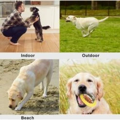 LITZEE Dog Occupation And Education Toy Palla Giocattolo Per Cani - Palla Per Cibo Per Cani, Palla Per Bicchiere Per Cani, Giocattolo Da Masticare, Palla Erogatrice Per Cani Giocattolo Per Animali Dom -Cibi per cani in Italia 96299280 5