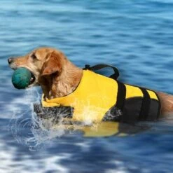 LITZEE Giubbotto Salvagente Per Cani Giubbotto Di Sicurezza Per Nuoto Galleggiante Giubbotto Di Salvataggio Con Maniglia Per Cani Di Taglia Piccola Giallo M -Cibi per cani in Italia 96300244 3