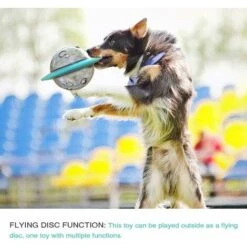 LITZEE Giocattolo Per L'occupazione E L'educazione Del Cane Palla Per Dolcetti IQ Ad Alimentazione Lenta, Giocattoli Rompicapo Di Erogazione, Dispenser Per Tazze, Giocattolo Per Dispensare Dolcetti Pe -Cibi per cani in Italia 96300531 3