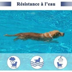 Collare Antipulci E Zecche Per Cani, Trattamento Naturale E Prevenzione Di Pulci E Zecche Fino A 8 Mesi Per Cani, Misura Regolabile 62 Cm, Resistente All'acqua -Cibi per cani in Italia 97076111 5