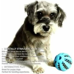 Confezione Da 2 Palline Da 5 Cm Per Cani Per La Pulizia Dei Denti Degli Animali Domestici, La Masticazione, Il Recupero, I Giocattoli Per L'erogazione Di Cibo Con Palline Per Il Trattamento IQ (piccol -Cibi per cani in Italia 97077993 4