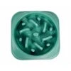 BAUMOOD Ciotola Per Cani Anti Ingozzamento Soffocamento Verde -Cibi per cani in Italia 97209125 1