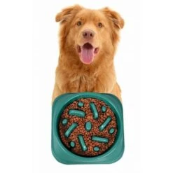 BAUMOOD Ciotola Per Cani Anti Ingozzamento Soffocamento Verde -Cibi per cani in Italia 97209125 2