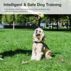 Collare Antiabbaio Per Cani, Collare Antiabbaio Per Cani Spray Alla Citronella, Collare Regolabile Per Addestramento Cani Per Cani Di Taglia Piccola/media/grande -Cibi per cani in Italia 97873227 5